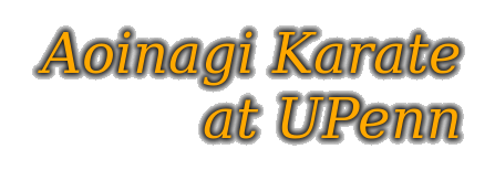 Aoinagi Karate at UPenn